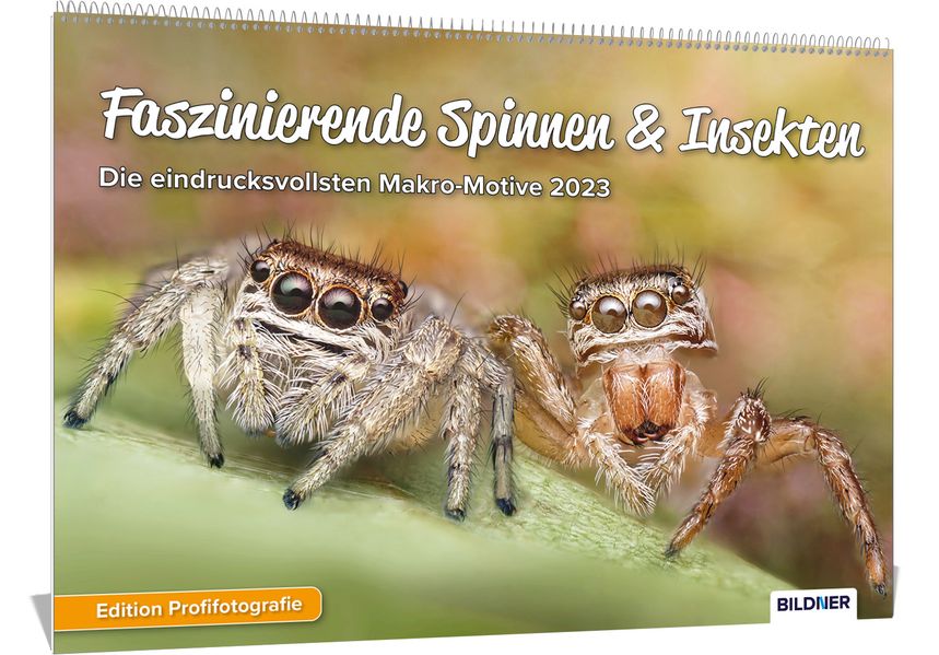 Cover von Spinnenkalender 2023, Faszinierende Spinnen & Insekten, Eindrucksvolle Makro-Motive 2023