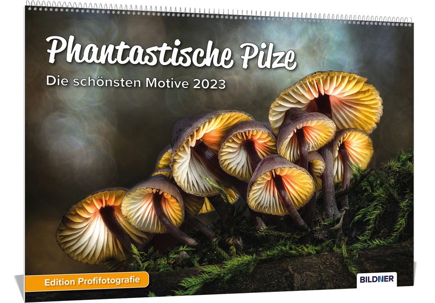 Cover von Pilzkalender 2023, Phantastische Pilze! Die schönsten Pilzmotive und Aufnahmen 2023 – Hochwertiger Wandkalender DIN A3 quer