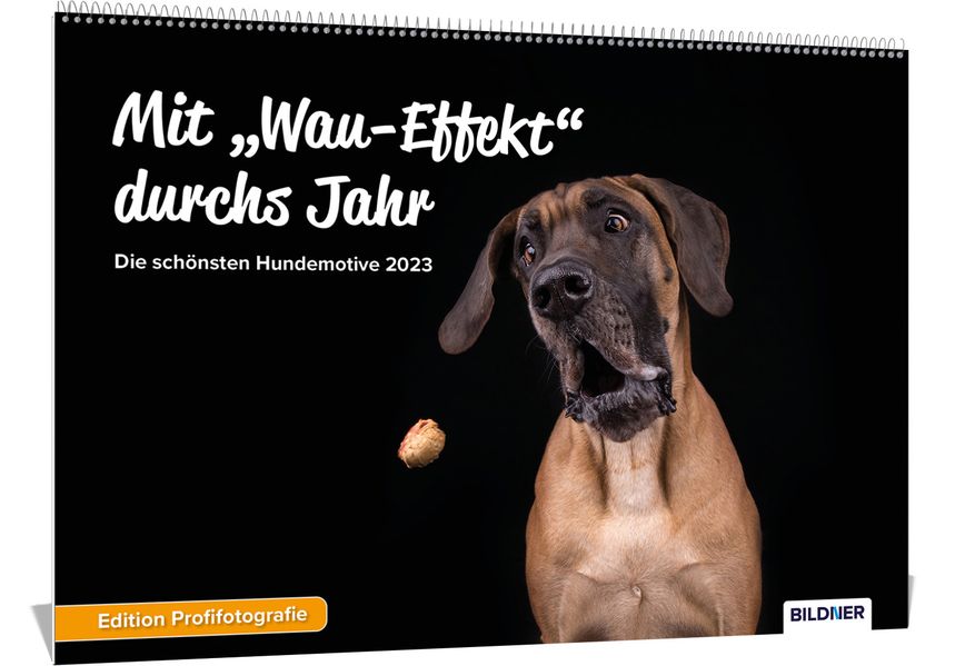 Cover von Hundekalender 2023, Mit „Wau-Effekt“ durchs Jahr! Die schönsten Hundemotive und Aufnahmen 2023