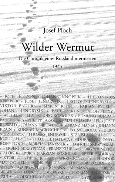 Cover von Wilder Wermut