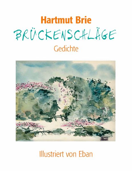 Cover von Brückenschläge