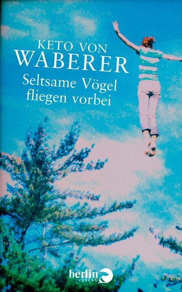 Cover von Seltsame Vögel fliegen vorbei