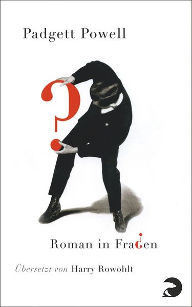 Cover von Roman in Fragen