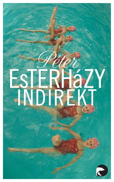 Cover von Indirekt