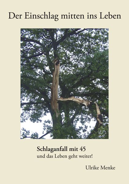 Cover von Der Einschlag mitten ins Leben