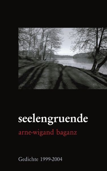 Cover von seelengruende