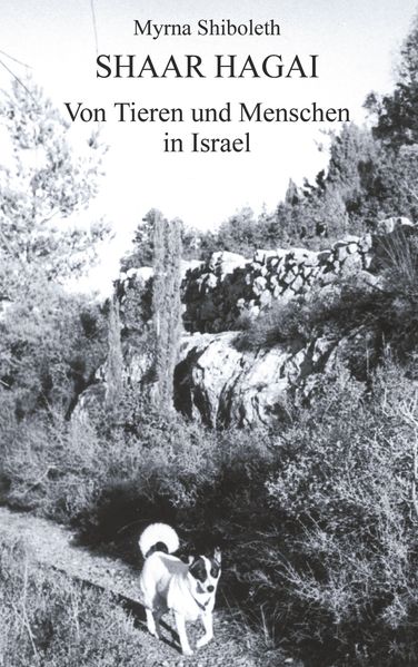 Cover von Shaar Hagai