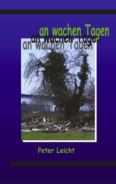 Cover von An wachen Tagen Teil II