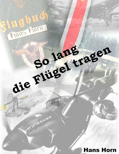 Cover von So lang die Flügel tragen