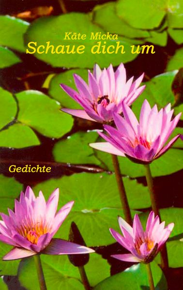 Cover von Schaue dich um