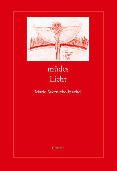 Cover von müdes Licht