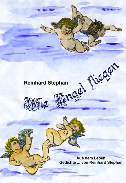 Cover von Wie Engel fliegen