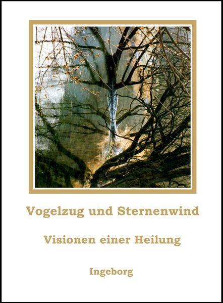 Cover von Vogelzug und Sternenwind
