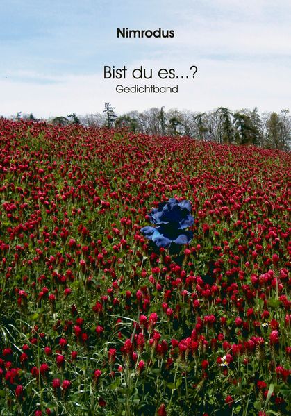 Cover von Bist du es…?