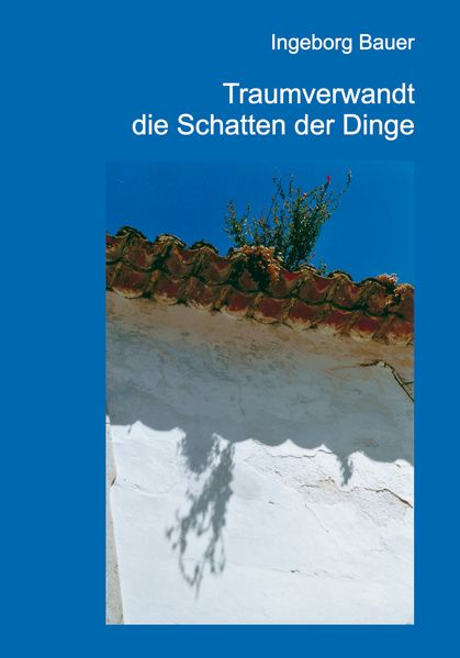 Cover von traumverwandt die Schatten der Dinge
