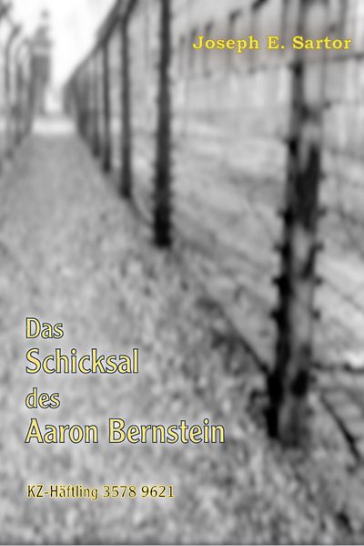Cover von Das Schicksal des Aaron Bernstein