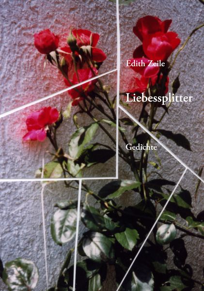 Cover von Liebessplitter