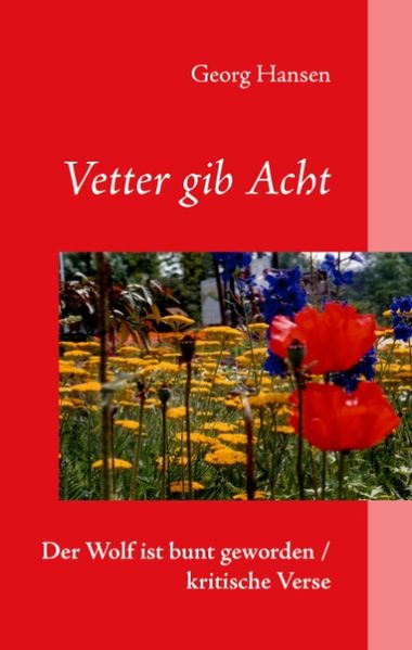 Cover von Vetter gib Acht