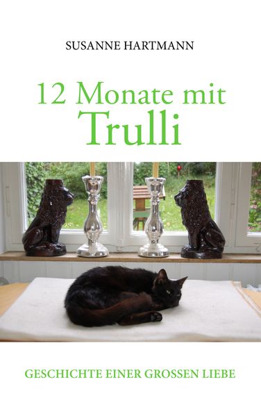 Cover von 12 Monate mit Trulli