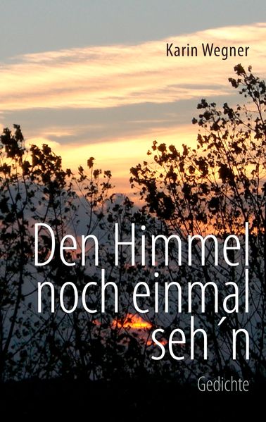 Cover von Den Himmel noch einmal seh’n