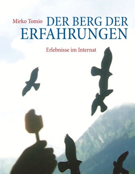 Cover von Der Berg der Erfahrungen