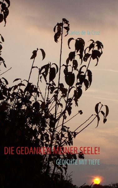 Cover von Die Gedanken meiner Seele!