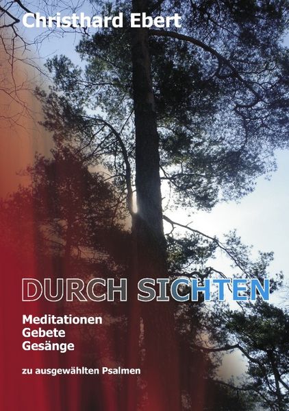 Cover von Durch-Sichten