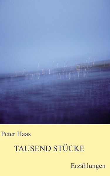 Cover von Tausend Stücke