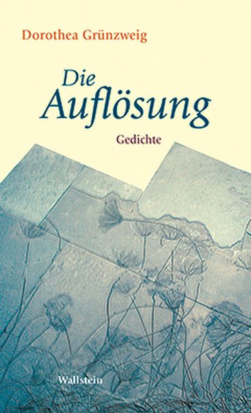 Cover von Die Auflösung