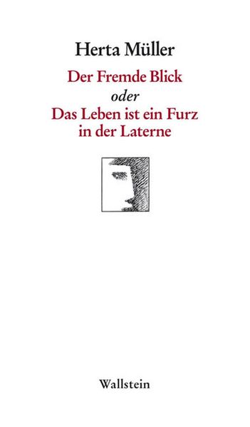 Cover von Der Fremde Blick oder Das Leben ist ein Furz in der Laterne