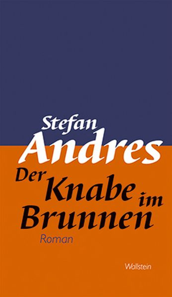 Cover von Werke in Einzelausgaben / Der Knabe im Brunnen