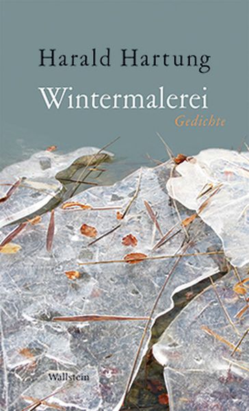 Cover von Wintermalerei