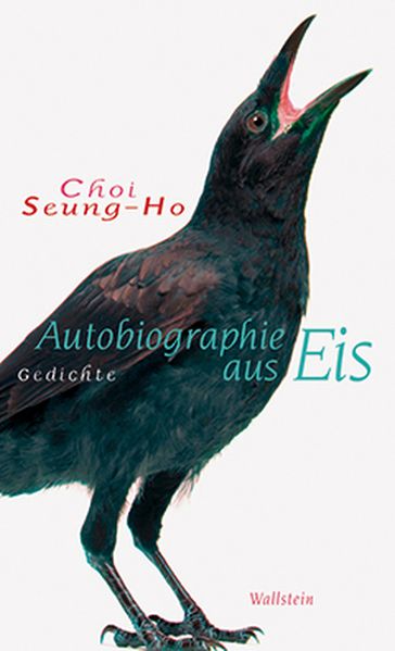Cover von Autobiographie aus Eis