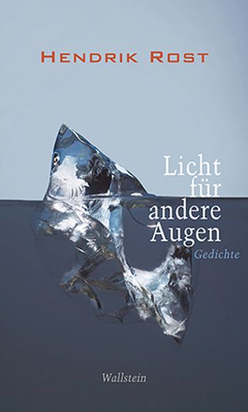 Cover von Licht für andere Augen
