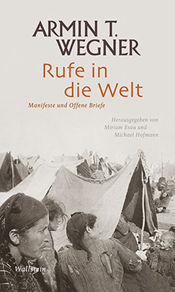 Cover von Rufe in die Welt