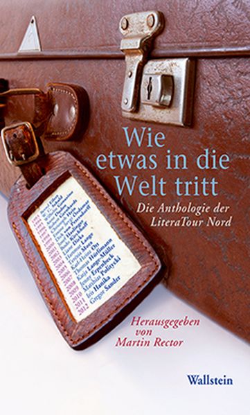Cover von Wie etwas in die Welt tritt