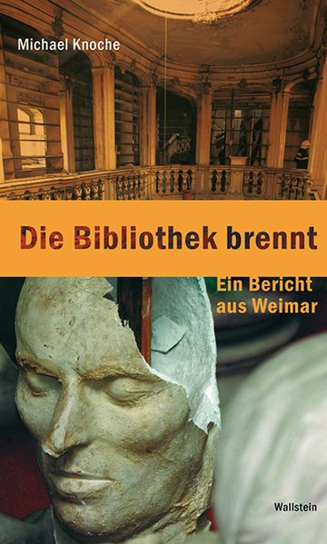 Cover von Die Bibliothek brennt