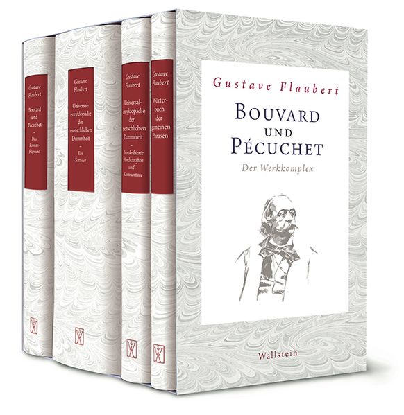 Cover von Bouvard und Pécuchet