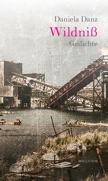 Cover von Wildniß