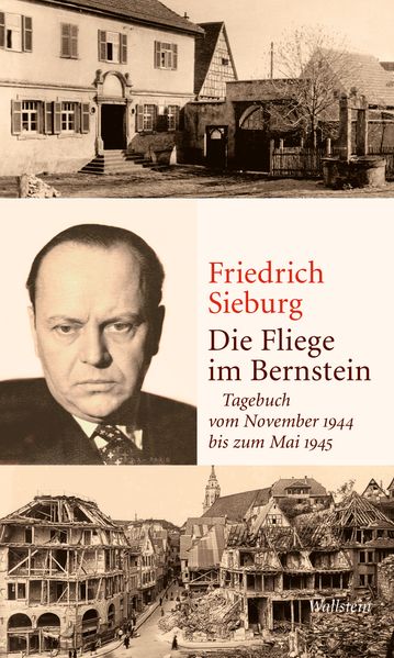 Cover von Die Fliege im Bernstein
