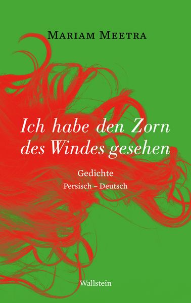 Cover von Ich habe den Zorn des Windes gesehen
