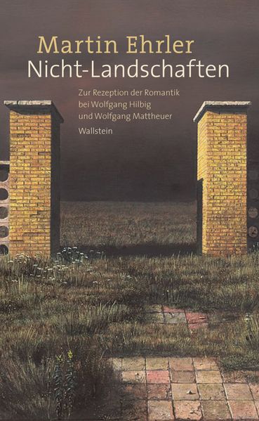 Cover von Nicht-Landschaften