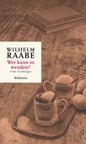 Cover von Wer kann es wenden?