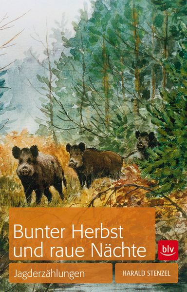 Cover von Bunter Herbst und raue Nächte