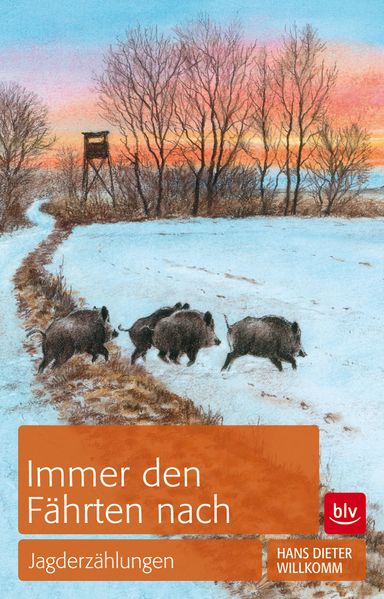 Cover von Immer den Fährten nach