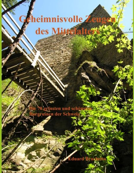 Cover von Geheimnisvolle Zeugen des Mittelalters