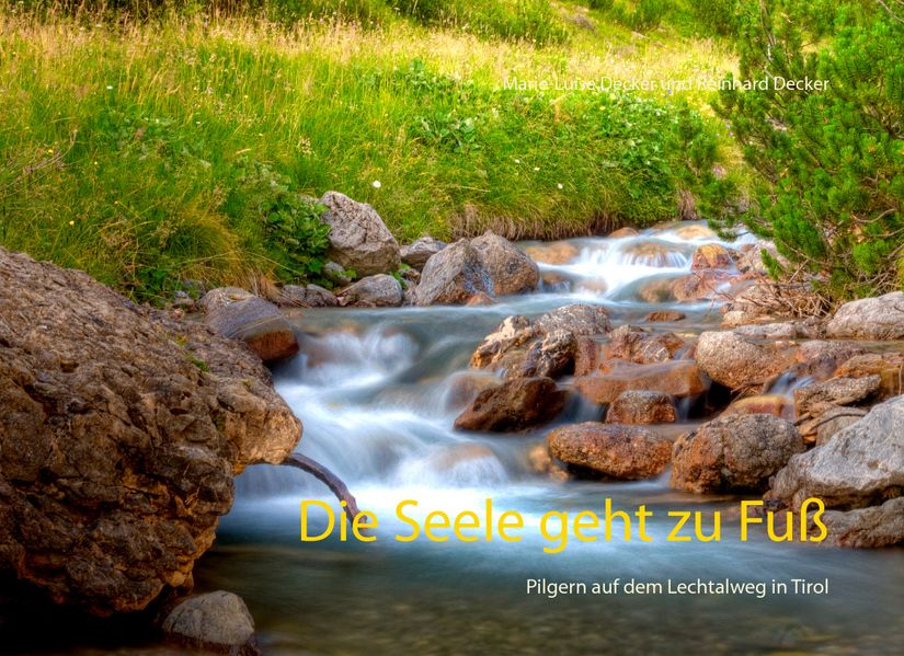 Cover von Die Seele geht zu Fuß