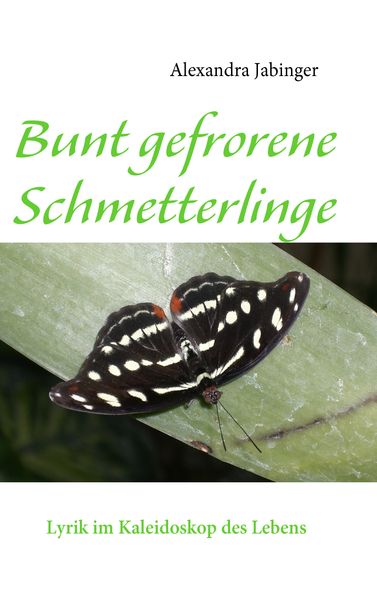 Cover von Bunt gefrorene Schmetterlinge
