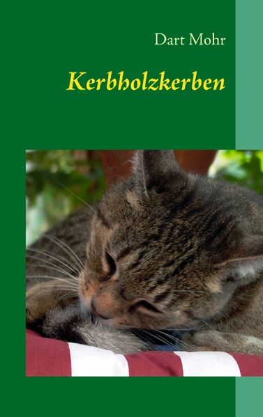 Cover von Kerbholzkerben