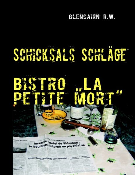 Cover von Schicksals Schläge